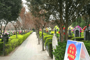 骊山骨灰墓园墓区图