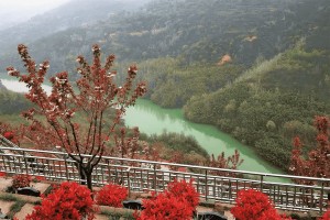 西安市长安区寿阳山墓园园区湖景图
