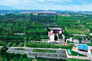 凤栖山人文纪念园景观图