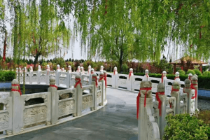 汉皇树葬墓园景观图