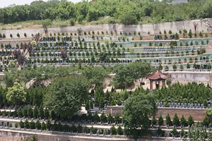 西安市蓝田县凤凰岭公墓墓区环境图
