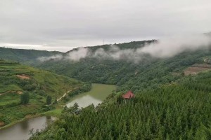 西安市灞桥区高桥墓园园区湖景图