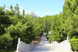 西安殡仪馆骨灰堂景观图