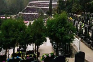 西安市鄠邑区九龙山墓园墓区环境图