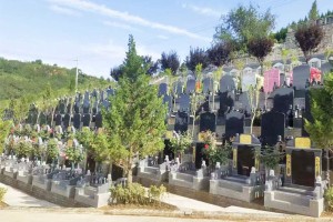 西安市蓝田县白鹿原公墓墓区环境图