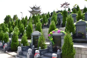 西安市灞桥区汉陵墓园墓区环境图