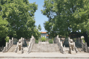 镐京骨灰公墓景观图