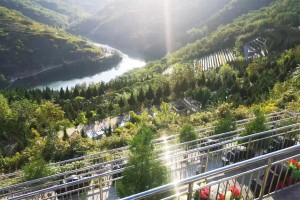 西安市灞桥区高桥墓园园区湖景图