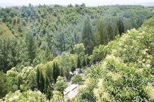 西安市蓝田县凤凰岭公墓园区环境图