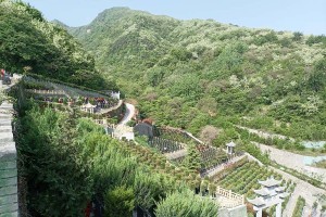 西安市鄠邑区九龙山墓园墓区环境图