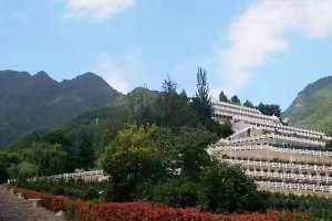 西安市鄠邑区九龙山墓园园区环境图