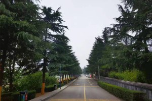 西安市长安区枣园山生态人文纪念园园区道路图