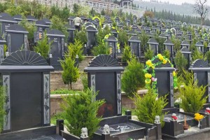 西安市灞桥区高桥墓园墓区环境图