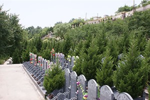 西安市蓝田县凤凰岭公墓墓区环境图
