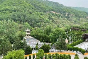 西安市灞桥区霸陵墓园墓区环境图