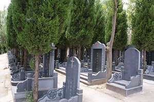 西安市蓝田县凤凰岭公墓墓区环境图
