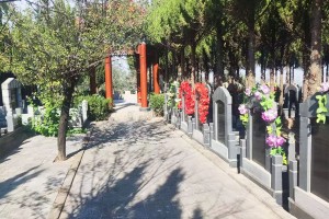 西安市灞桥区高桥墓园墓区环境图