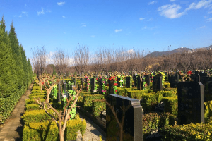 骊山骨灰墓园墓区图