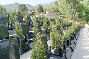 单人墓和双人墓的建墓规定