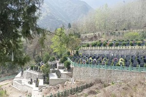 西安市鄠邑区九龙山墓园墓区环境图