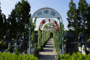 汉皇树葬墓园墓区图