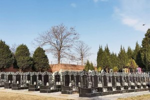 西安市长安区枣园山生态人文纪念园墓区环境图