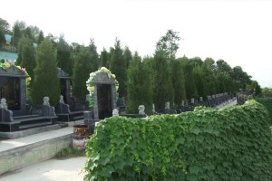 西安市灞桥区汉陵墓园墓区环境图