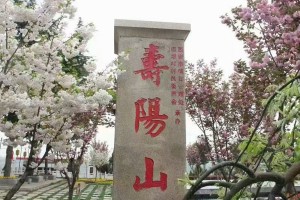 西安市灞桥区霸陵墓园寿阳山环境图