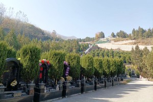 西安市鄠邑区九龙山墓园墓区环境图
