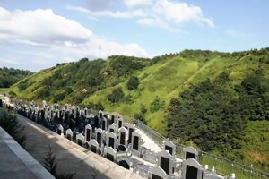 西安市蓝田县凤凰岭公墓墓区环境图
