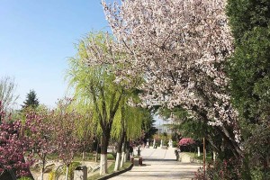 西安市长安区慈恩园公墓园区环境图