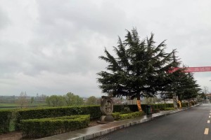 西安市长安区枣园山生态人文纪念园园区道路图